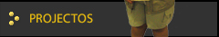 Projectos
