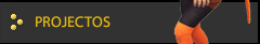 Projectos